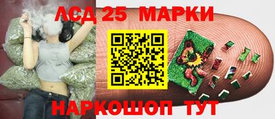 ешки Будённовск