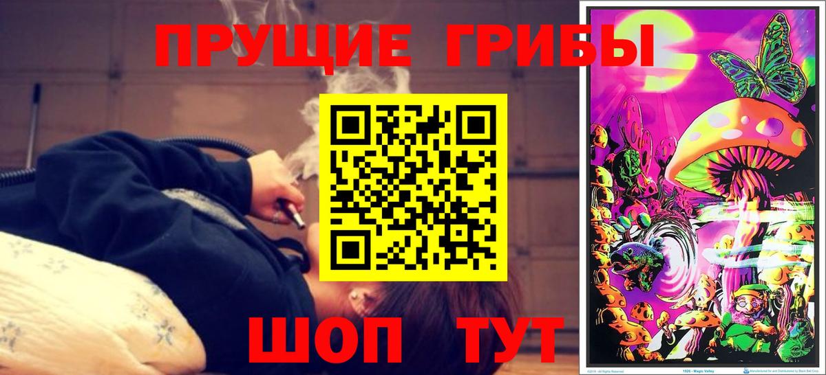 Псилоцибиновые грибы Psilocybe  где можно купить наркотик  Псилоцибиновые грибы Psilocybine cubensis  Тобольск  Вход с VPN 